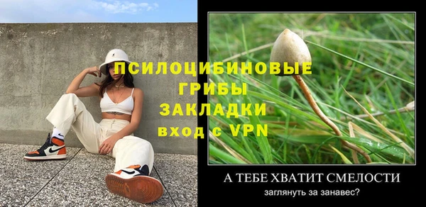 гидра Алексеевка