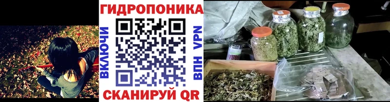 где найти   kraken ONION  Каннабис LSD WEED  Краснодар 